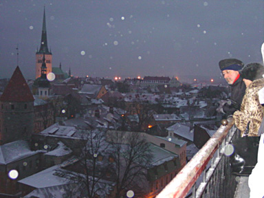 The roofs of old Tallinn the night - magical