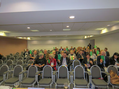 cartons verts pour chaque sujet !