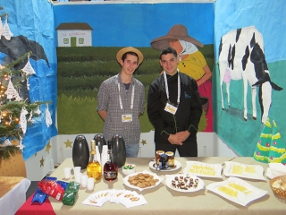 Ponta delgada – Portugal/Açores