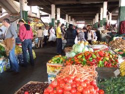Le pittoresque marché couvert de la ville 