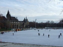 Non loin, une patinoire déjà en service