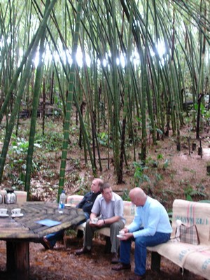 Enjoying a cup of coffee in the middle of a bamboo grove