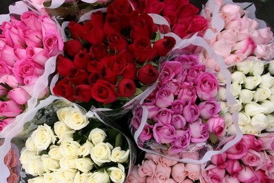 Paloquemao flower market 